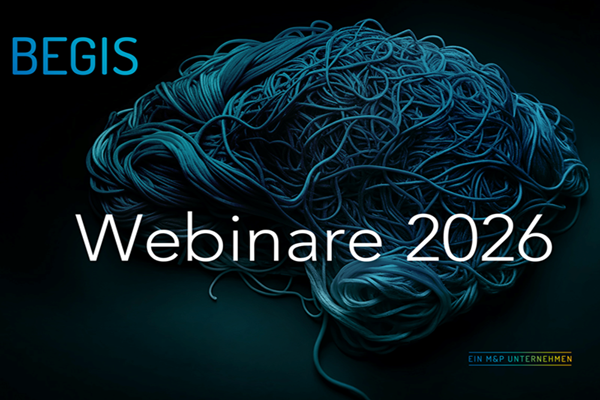 KI Bild Gehirn aus Leitungen