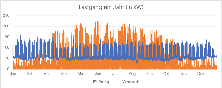 Grafik Lastgang Jahr